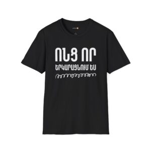 Vonc Vor Yerkaracnum Es Armenian Funny T-Shirt | Armenian Tee